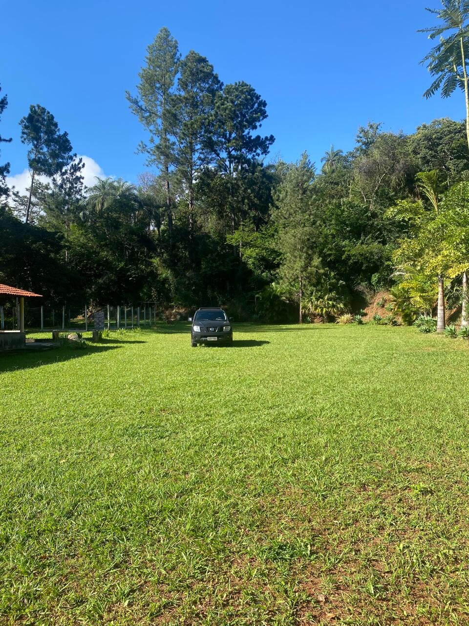 Gramado arborizado da propriedade