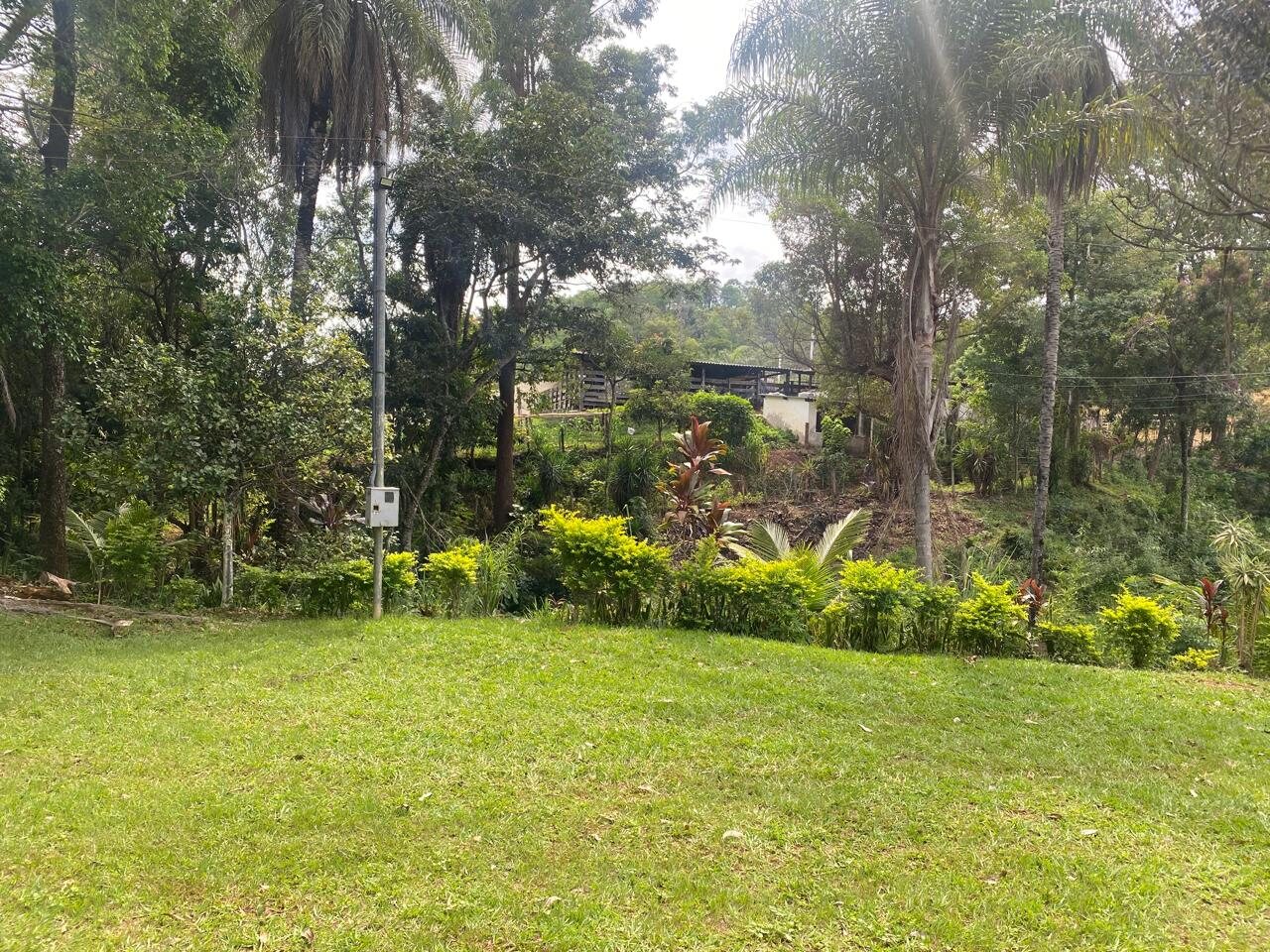 Gramado e jardins com vegetação abundante