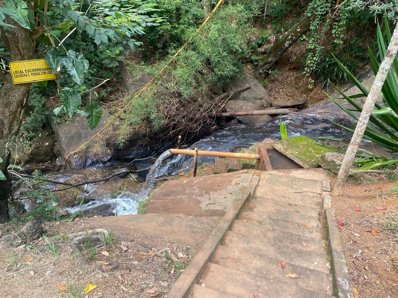 Acesso à cachoeira com escada e vegetação