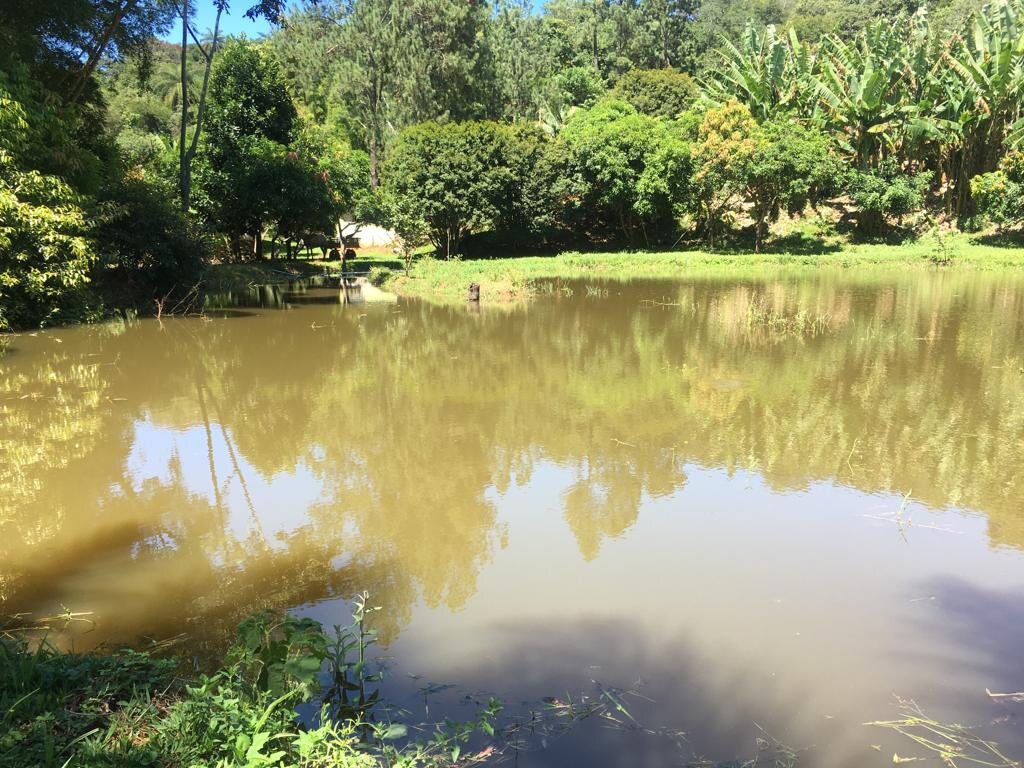 Lagoa cercada por vegetação