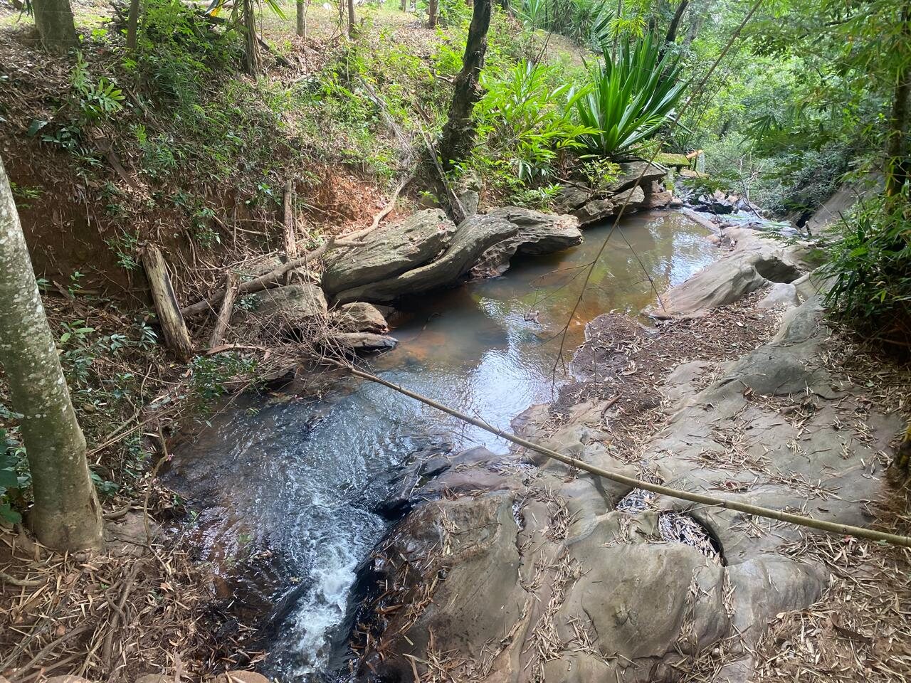 Riacho entre pedras e vegetação na Fazenda Raveneza